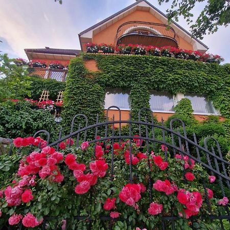 Villa Victoria Łeba Kültér fotó
