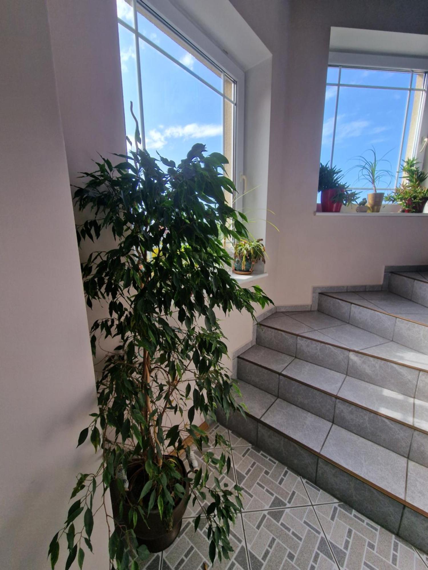 Villa Victoria Łeba Kültér fotó
